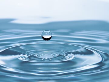 Wasser sparen: Praktische Tipps für den Alltag auf sparmunity.de